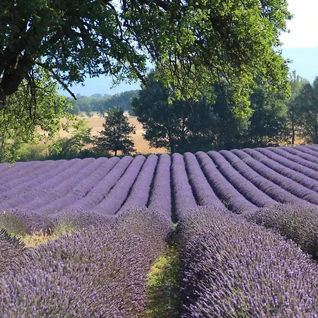La Bastide Des Milles