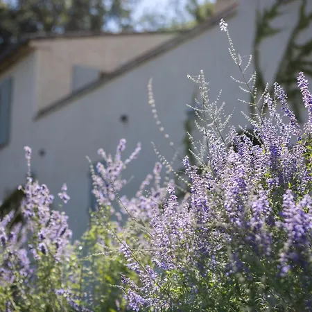 Holiday home La Bastide Des Milles